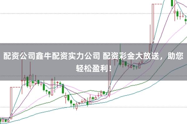 配资公司鑫牛配资实力公司 配资彩金大放送，助您轻松盈利！