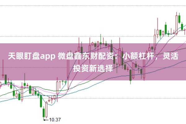 天眼盯盘app 微盘鑫东财配资：小额杠杆，灵活投资新选择
