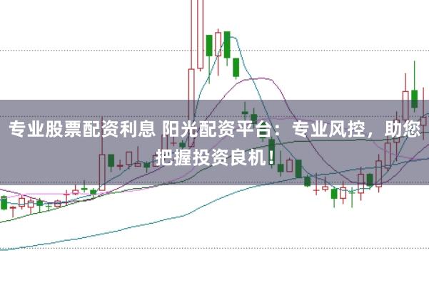 专业股票配资利息 阳光配资平台：专业风控，助您把握投资良机！