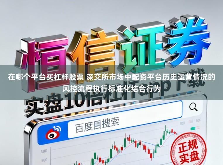 在哪个平台买杠杆股票 深交所市场中配资平台历史运营情况的风控流程执行标准化结合行为