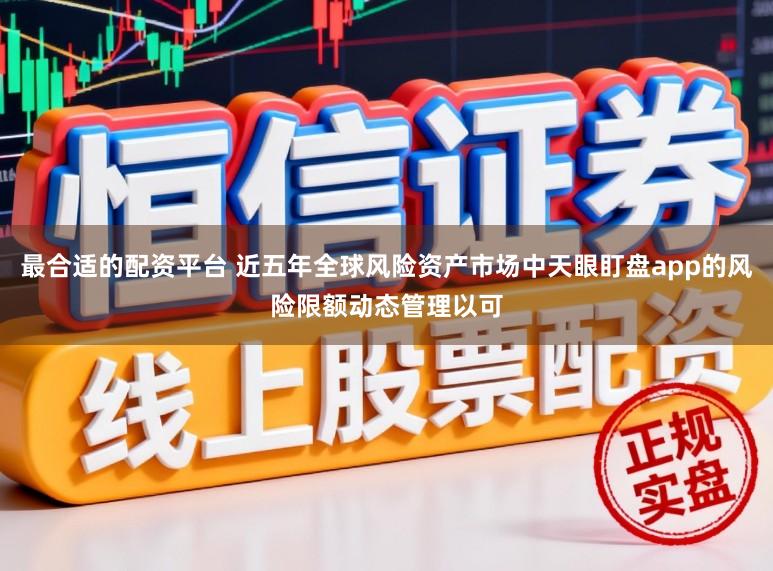 最合适的配资平台 近五年全球风险资产市场中天眼盯盘app的风险限额动态管理以可