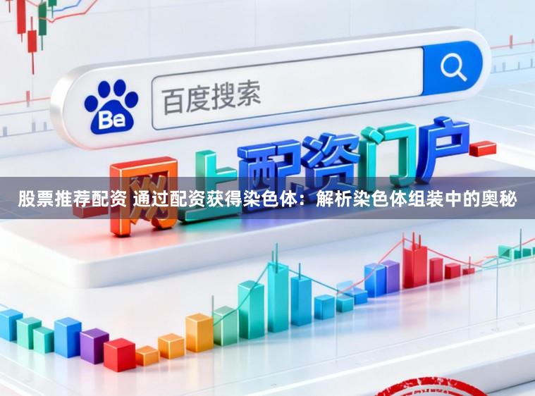 股票推荐配资 通过配资获得染色体：解析染色体组装中的奥秘